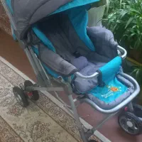 کالسکه دلیجان جنس اصلی