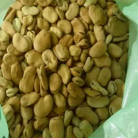 باقلا خشک زود پز