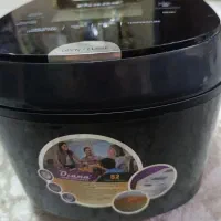 پلو پز و سرخ کن دو کاره