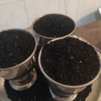 خرید فروش سیاه دانه‌ گندم جو آرد لوبیا عدس نخود