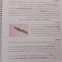 جزوه زیست عظیمی تاملند|لوازم التحریر|سنقر, |دیوار