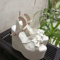 صندل یا کفش عروس|کیف، کفش، کمربند|جهرم, |دیوار