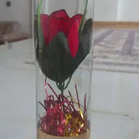 تعدادی گلدان|صنایع دستی و سایر لوازم تزئینی|مشکین‌دشت, |دیوار