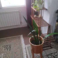 استند|صنایع دستی و سایر لوازم تزئینی|رشت, کوی مهر|دیوار