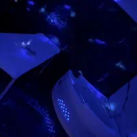 اجاره روزانه/هفتگی/ماهانه ویلا ۱۷۰ متری