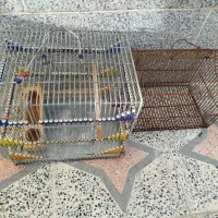 قفس|لوازم جانبی حیوانات|شیراز, کوشک میدان|دیوار