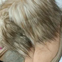 بوت قیمت مناسب|کیف، کفش، کمربند|شهرکرد, |دیوار