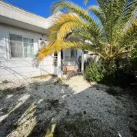 فلت-سند-تک-برگ-زیباکنار