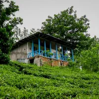 خونه وباغ ویلایی در بالای آبشار وزن بن