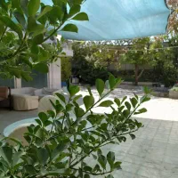 ویلا استخر دار میدان آناهیتا بازدید دارد خانم نجفی|اجارهٔ کوتاه‌مدت ویلا و باغ|کرمانشاه, |دیوار