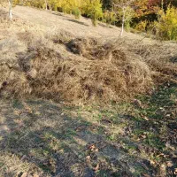 علوفه باغی بسته بندی شده|لوازم جانبی حیوانات|مینودشت, |دیوار