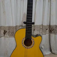 گیتار دیاموند