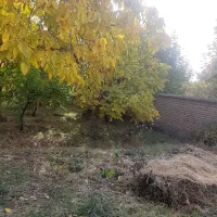 طالقان ۱۷۵۰ متر داخل بافت باغ سند تک برگ