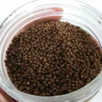 غذای ماهی گوشتخوار آکواریومی|ماهی|سرپل ذهاب, |دیوار