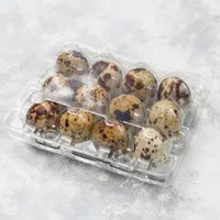 بهداشتی پک بسته بندی تخم بلدرچین