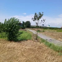 معاوضه-زمین-با-خودرو