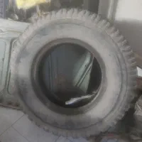 لاسیتک
