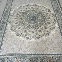 فرش ۱۲ متری|فرش|بندرعباس, |دیوار