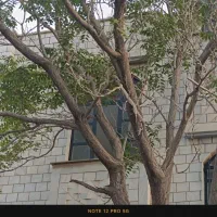 آپارتمان دوخوابه‌ خیابان مطهری انتهای ابوذر|اجارهٔ آپارتمان|کرج, کوی بعثت|دیوار