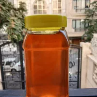 عسل خالص سبلان گون و آویشن کوهی ۱۰۰٪ طبیعی و خالص