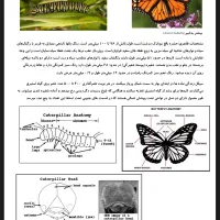 تدریس ریاضی،زیست، شیمی، فیزیک|خدمات آموزشی|اصفهان, احمدآباد|دیوار