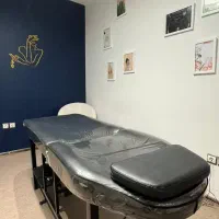 تخت فیشال در حد نو