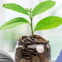 *نیازمند ضامن *