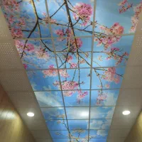 تولید و پخش آسمان مجازی - یک تکه عریض و تایل 60*60