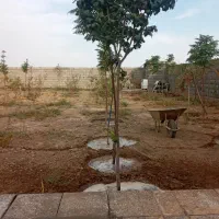 باغچه چهار دیواری 507 متر|فروش خانه و ویلا|شریف‌آباد, |دیوار