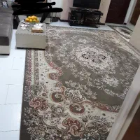 اجاره 50 متری با اسانسور و پارکینگ|اجارهٔ آپارتمان|تهران, شهرک رضویه|دیوار