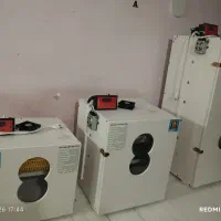 دستگاه جوجه کشی100عددی یا تعداد کم/با انتخاب پرنده