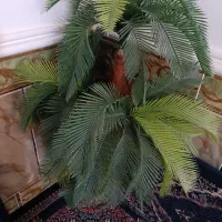 مبل|حراج|زابل, |دیوار