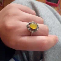 شرفه شمس حدود4 گرمه