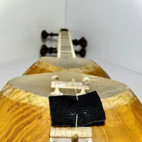 تار حرفه ای ۳ مهر پناهی|سازهای سنتی|تهران, فردوس|دیوار