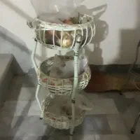 جا پیاز و سیب  زمینی