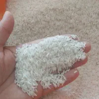 برنج هاشمی|حراج|لاهیجان, لفمجان|دیوار