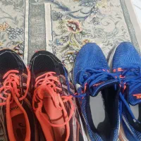 کفش|کیف، کفش، کمربند|بیرجند, |دیوار