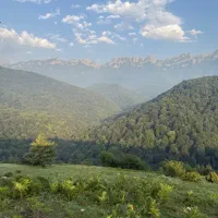 تور و سفر کمپ جنگل