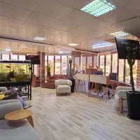 ادمین اینستاگرام خانم|استخدام رایانه و فناوری اطلاعات|شیراز, عفیف‌آباد|دیوار