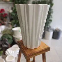 گلدان سرامیکی|گل و گیاه طبیعی|اصفهان, تخت فولاد|دیوار