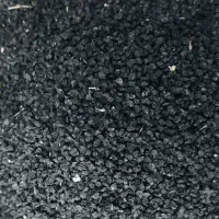 بذر پیاز بهرغان