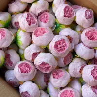 سرگل پیونی مصنوعی تولیدکننده سر گل عمده