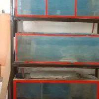 آکواریوم ومتعلقات