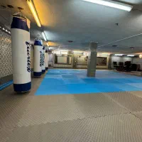 مربی کیک بوکسینگ