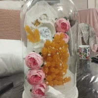 شاخه نبات عروس