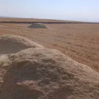 کاه