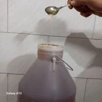 عسل گون کردستان