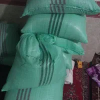 برنج طارم هاشمی  (کشت دوم)و هاشمی سورک مازندران