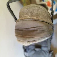 کالسکه تاسو|کالسکه و لوازم جانبی|لنگرود, |دیوار