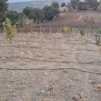 فروش‌فوری‌زمین